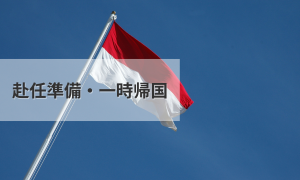 赴任準備・一時帰国